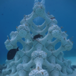 sponsor-reef-240x240